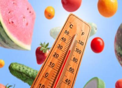 برای جلوگیری از گرمازدگی چه بخوریم؟